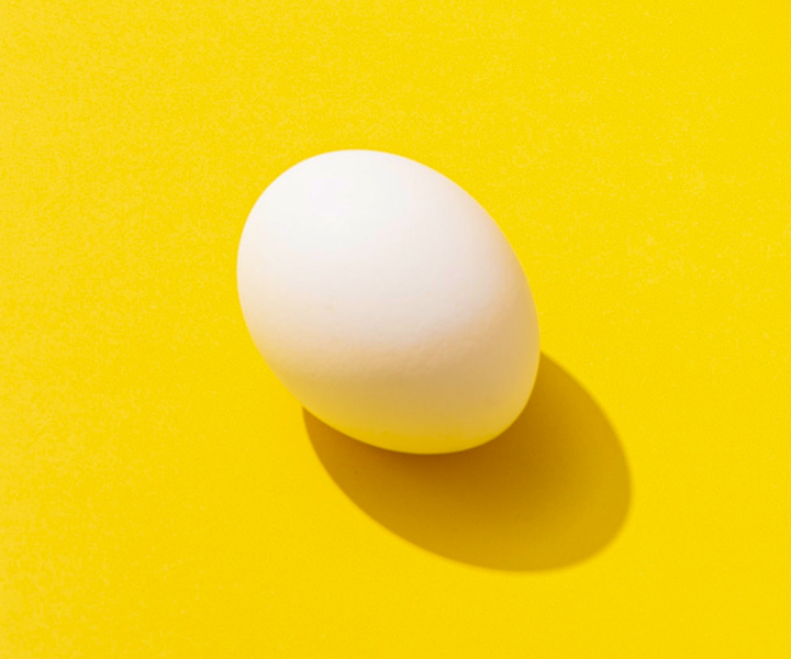 egg